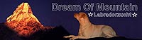 dreamofmountain-logo